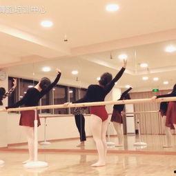 企鹅舞蹈成人舞蹈视频大全,成人舞蹈盛宴大盘点