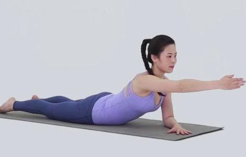 成人锻炼挺胸动作视频,塑造自信身姿的秘诀