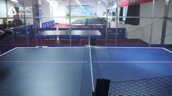 乒乓球步法成人训练视频,高效提升技巧与策略解析