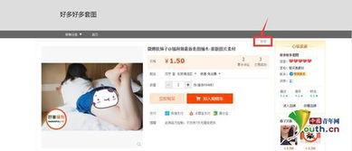 视频成人特级网站大全,揭秘网络成人内容的秘密世界