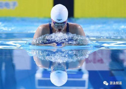 成人抬头蛙泳技巧视频大全,视频大全解析成人高效蛙泳方法